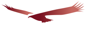Condor Healthcare Consultants - healthcare consulting firm